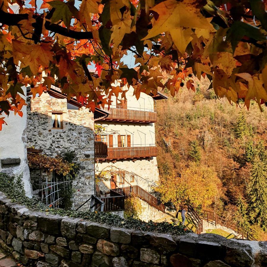 La Tana Del Tasso Rooms&Breakfast Camerata Cornello Exterior photo